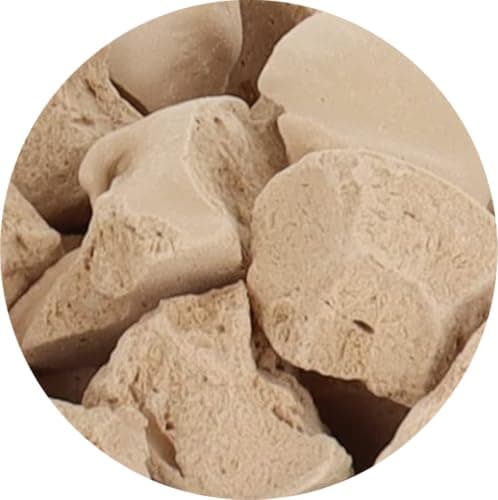 Arctic Farms Freeze Dried Ice Cream that Does Not Melt (Salted-Caramel, 1 Ounce)