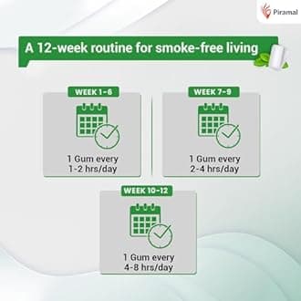 Nixit Nicotine Gum | 2mg | Pack of 40 (400 Count)| 10 Gums each pack | Frost Mint | Sugar Free | Helps Quit Smoking in 12 weeks | WHO Approved Therapy | Aids in Smoking Cessation