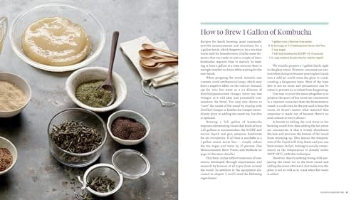 The Big Book of Kombucha: Brewing, Flavoring, and Enjoying the Health Benefits of Fermented Tea