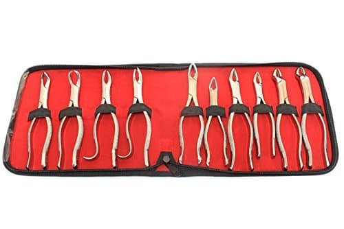 Bdeals 10 Pcs Dental Extracting Forceps kit with Velvet Pouch Good Quality