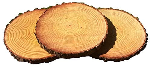 15 Pack of Fully Dry 11 to 12 inch Wood Slices for Wedding centerpieces, Wood Circles, Tree Slices, Wood Rounds, Wood Discs, Wedding Center Pieces Wood slabs, bark Slices