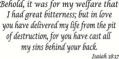 Isaiah 38:17 Bible Verse Wall Decal, Our Inspirational Christian Scripture Wa...
