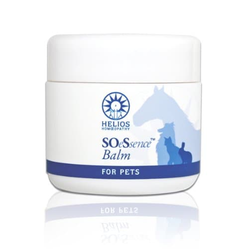Helios SOeSsence® Balm for Pets - Natural Treatment for Minor Wounds, Abrasions, Sore Paws & Skin Irritations