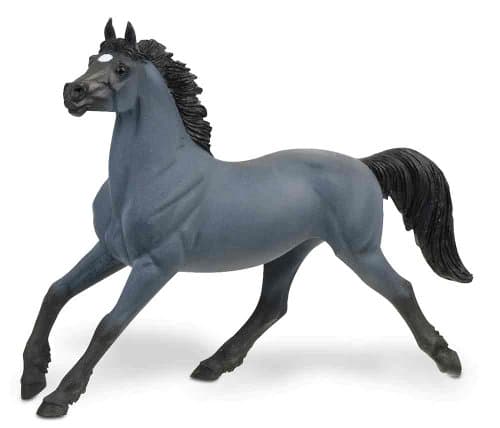 Safari: Roan Mustang