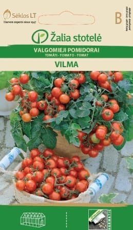 Seklos LT | Balcony Tomato Vilma Seeds | Vegetable Seeds | for Gardening | 60 Seeds