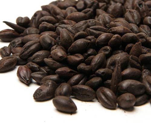 5 lb Black Prinz Malt