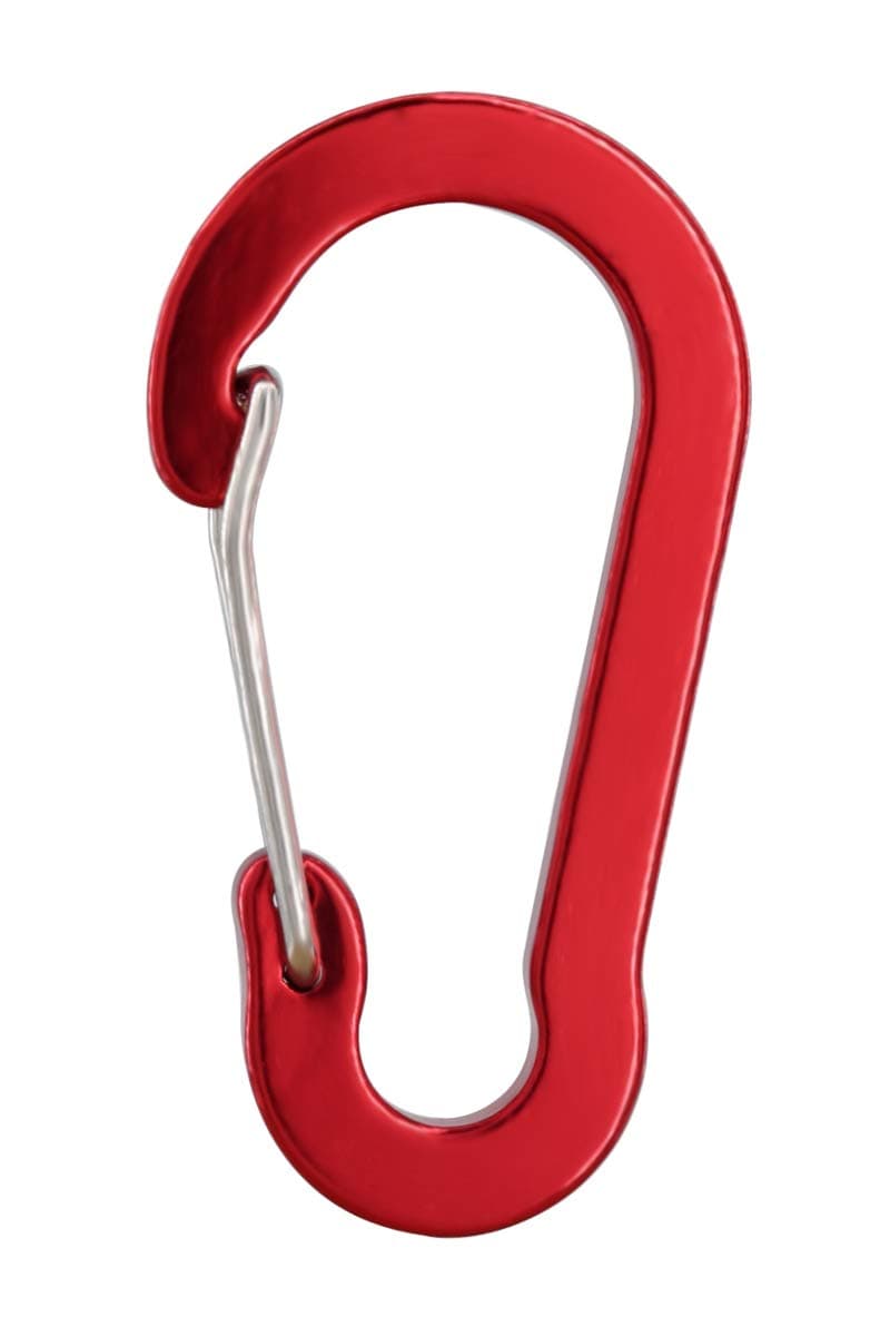 Gisdanchz 50 x 26mm Aluminum Mini Small Carabiner Keychain for EDC Camping Tent (Not for Climbing)