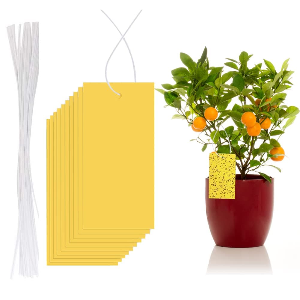 Raycity 10 PCS Yellow Sticky Fly Traps Bug, Dual-sided Sticky Fruit Fly and Fungus Gnat Killer Trap for Indoor and Outdoor