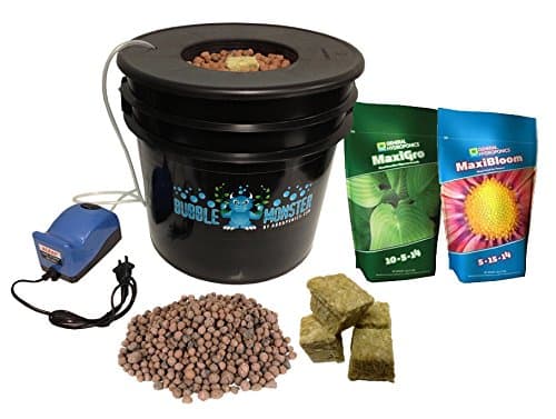 1 Site DWC Hydroponic System