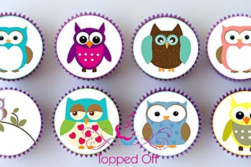 24 pre-cut 24 Mixed Round Owl edible cup cake topper decorations
