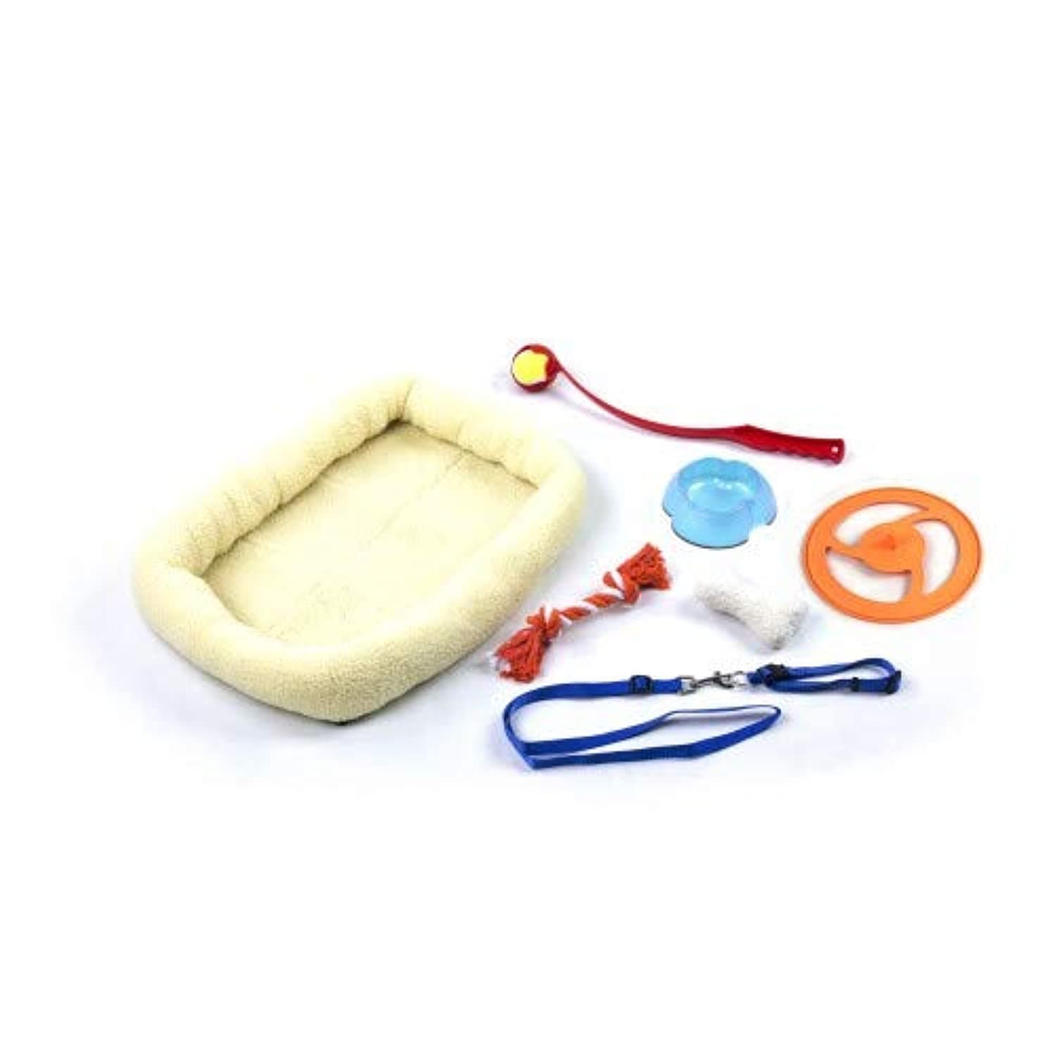 Paw PalsDog Gift Box 8 In - Dog Starter Kit