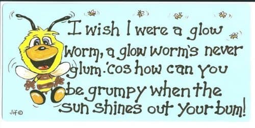 I Wish I were A Glow Worm Wall/Door Sign - Humour