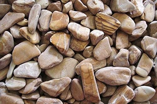 Seahorse Enterprises Feng Shui Decorative Pebbles - Woodstone - 1 Pack