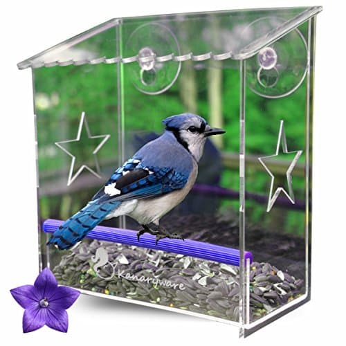 Window Bird Feeder with Strong Suction Cups - Our Acrylic Birdhouse is Clear and See Through, Securely Mounted and Squirrel Resistant. Easy to Install with Drainage Holes & Beautiful Packaging