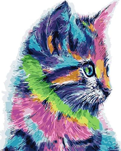 Morgofun DIY Painting Paint by Numbers for Adults Beginner, Paint by Number Kit with Frame Colorful Cat DIY Painting 16x20inch