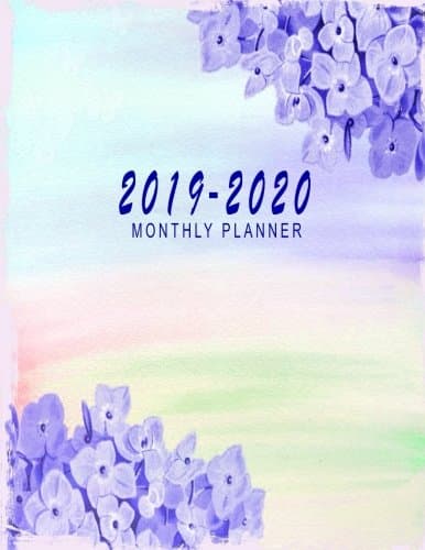2019-2020 Monthly Planner: 2019-2020 Calendar Planner | 24 Months Calendar Planner | 2 Years Planner January 2019 to December 2020 Academic Agenda ... Appointment Notebook Planner 2019-2020) Paperback – Notebook, July 9, 2018