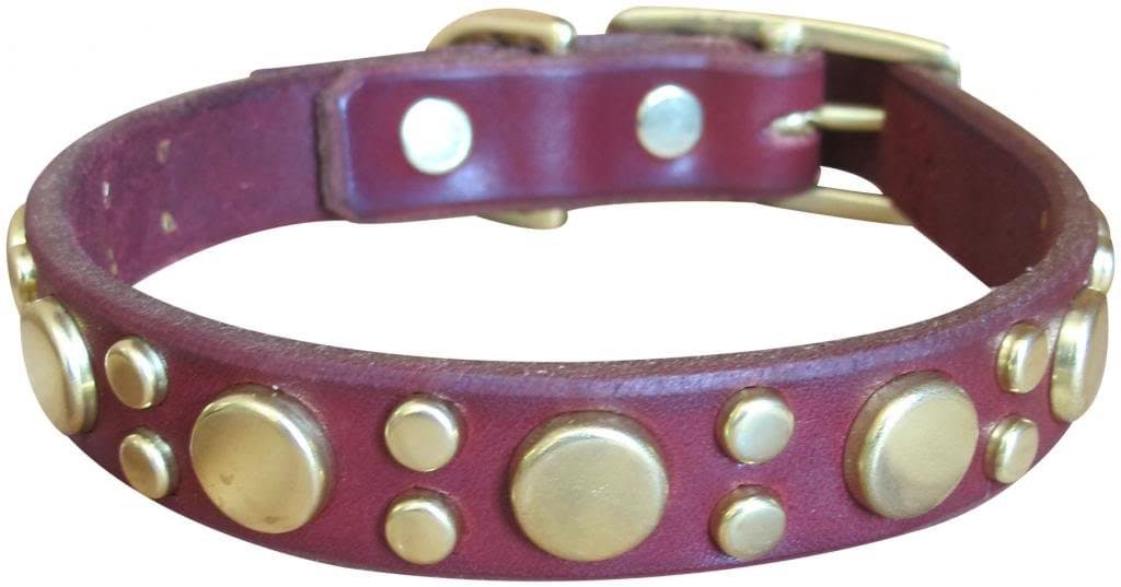 Paco Collars - "Tween Pickles - Handmade Leather Medium-Small Dog Collar- 3/4" Wide - Brass - Black 14"-16"
