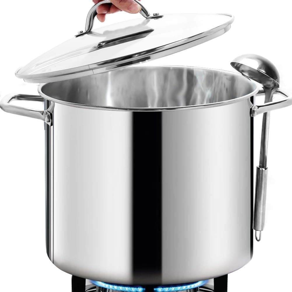 HOMICHEF 19L Nickel Free Stainless Steel Stockpot with Lid - Healthy & Safe Induction Cooking Pot - Mirror Polished Heavy Duty Soup Pot - 31cm Wide Large Stockpot