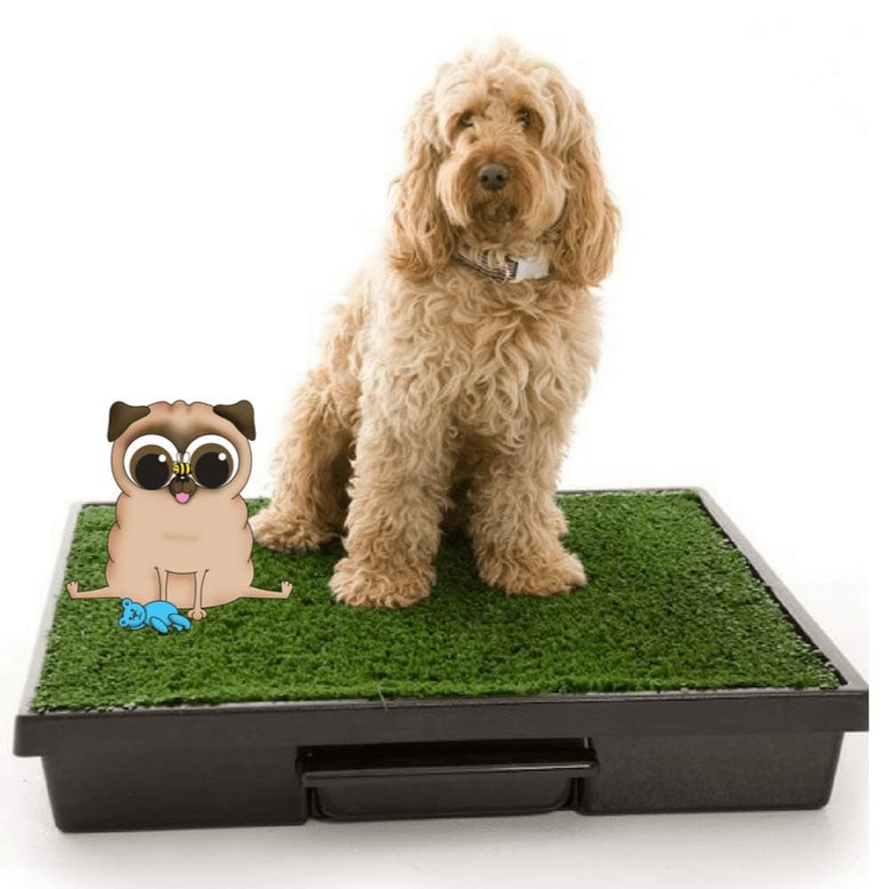 Portable Dog Toilet Artificial Grass Washable Mat Kit with easy clean removable Pee Tray for Indoor House or Outdoor Garden use and Puppy Toilet Training suitable for Small or Large Dogs