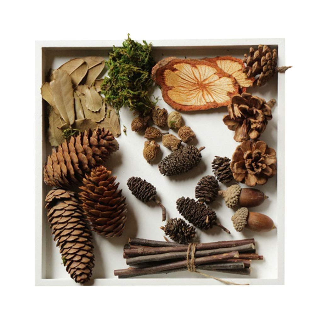 Yardwe1 Pack of Natural Wood Branches Natural Acorns Pine Cones Leaves Ornaments for DIY Craft Rustic Retro Vintage Decoration Photo Props Decorative Fall Winter Holiday Home Decor Vase Filler