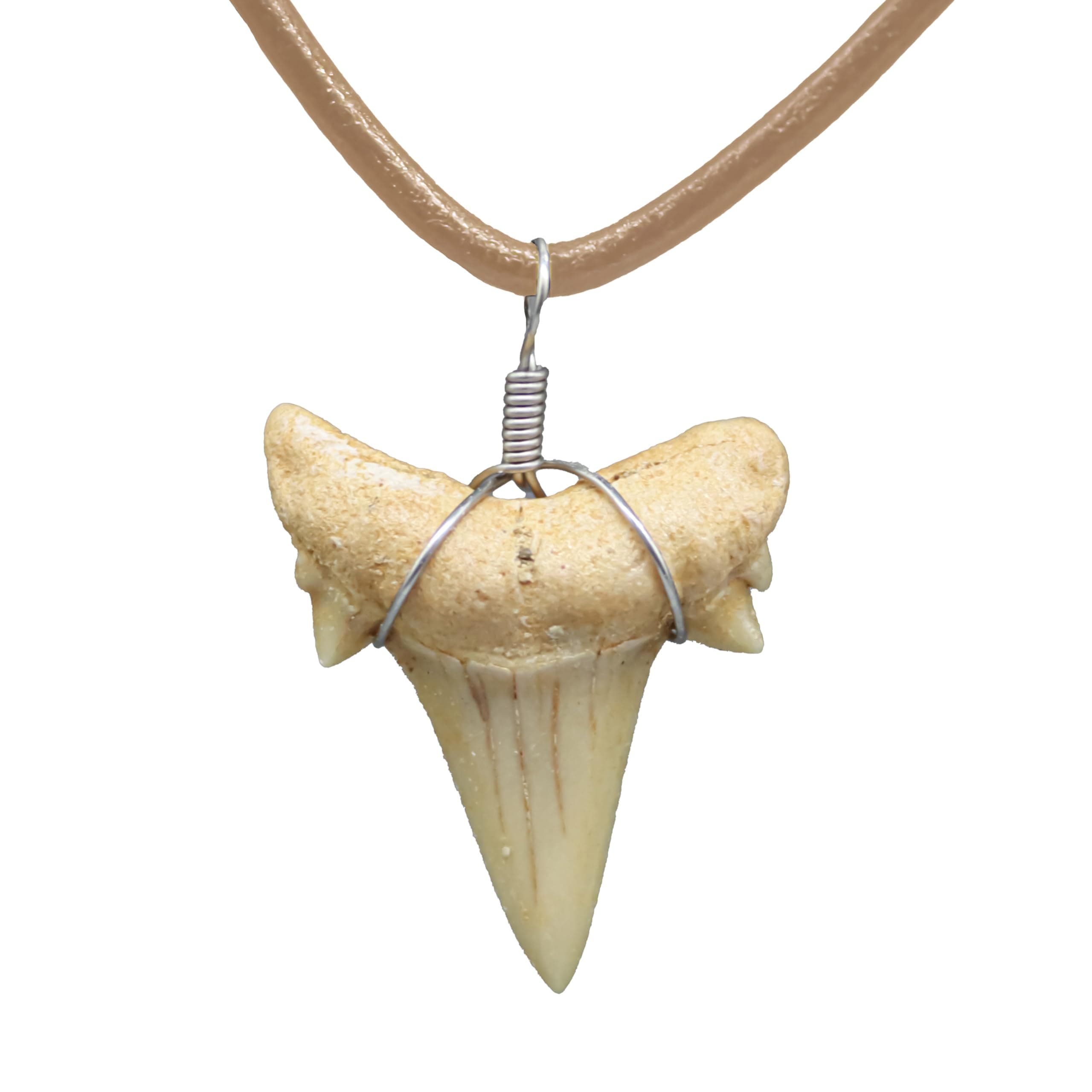 FROG SAC Natural Shark Tooth Necklace for Men, Genuine Fossil Shark Teeth, Cool Sharktooth Beach Necklaces for Women, Beachy Surfer Choker Jewelry