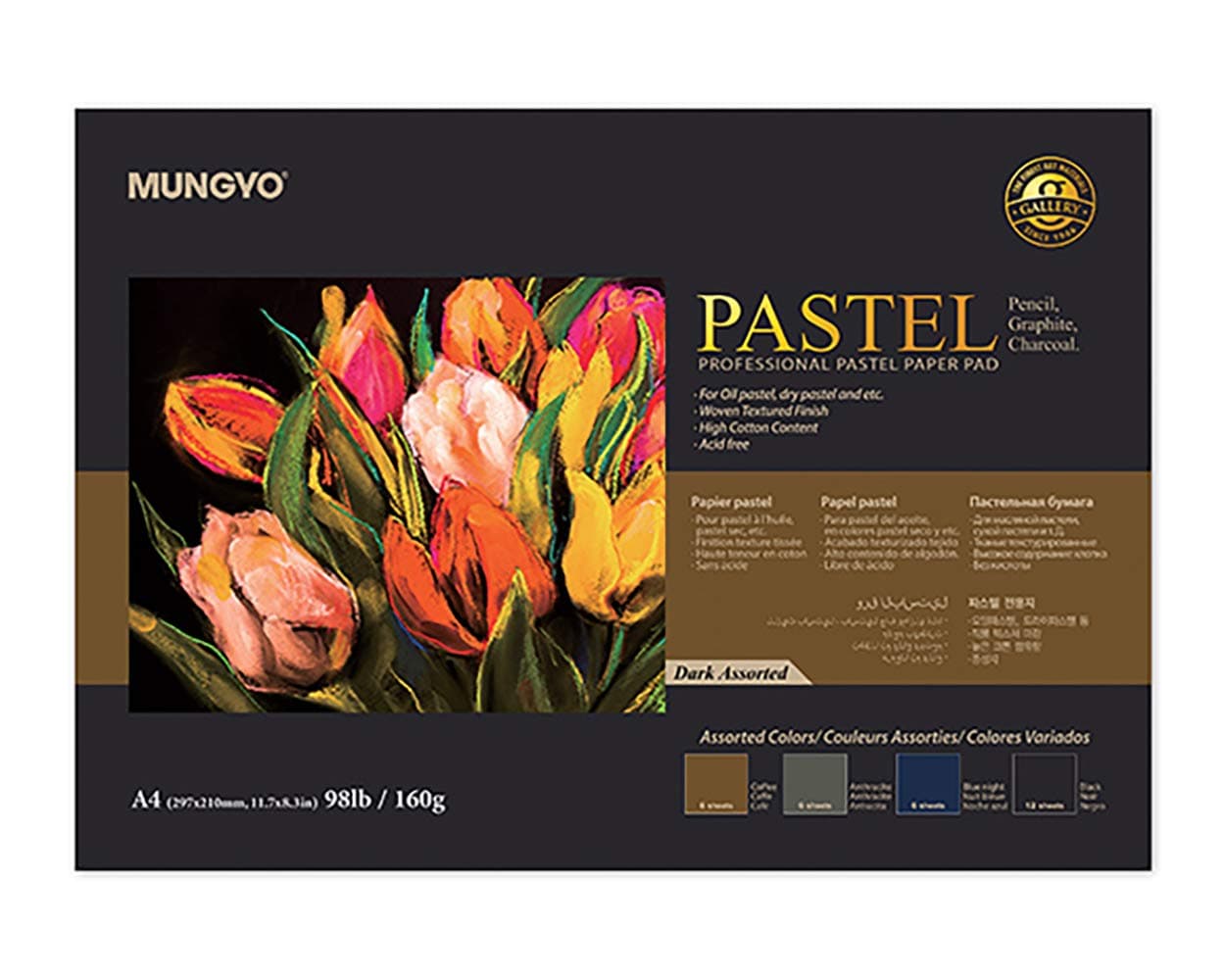 Professional Pastel Paper Pad A4 Size for Oil Pastel, Dry Pastel 30 Sheets (Dark Assorted)