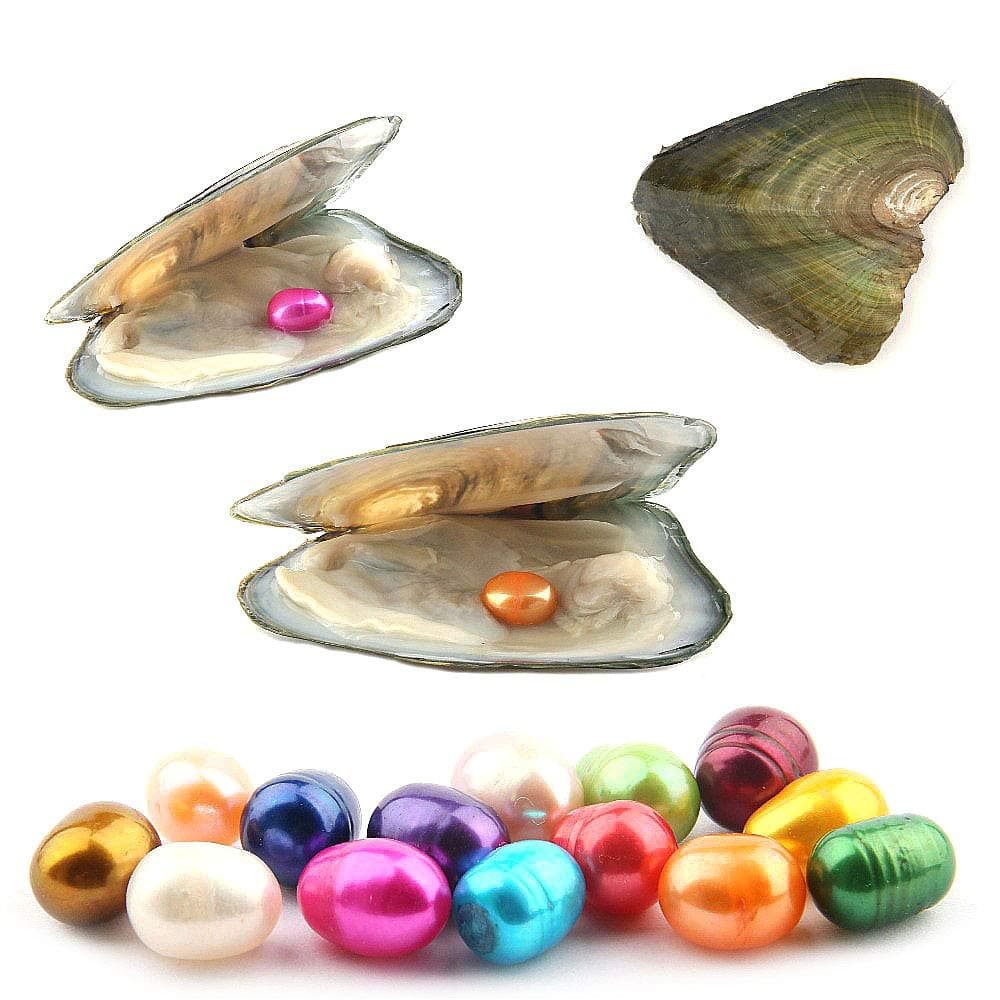 10PCS Freshwater Cultured Pearl Oyster with 7-8mm Oval Pearl(inside 10pcs Random Colors Pearls)
