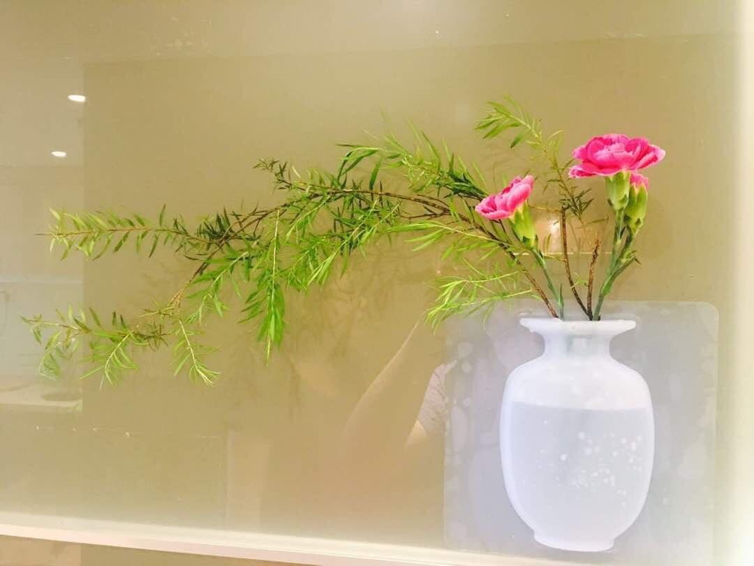 Elastix ANTIGRAVITY Sticky VASE, Silicone Magic VASE, Unique Decoration for Cozy House, Restaurant