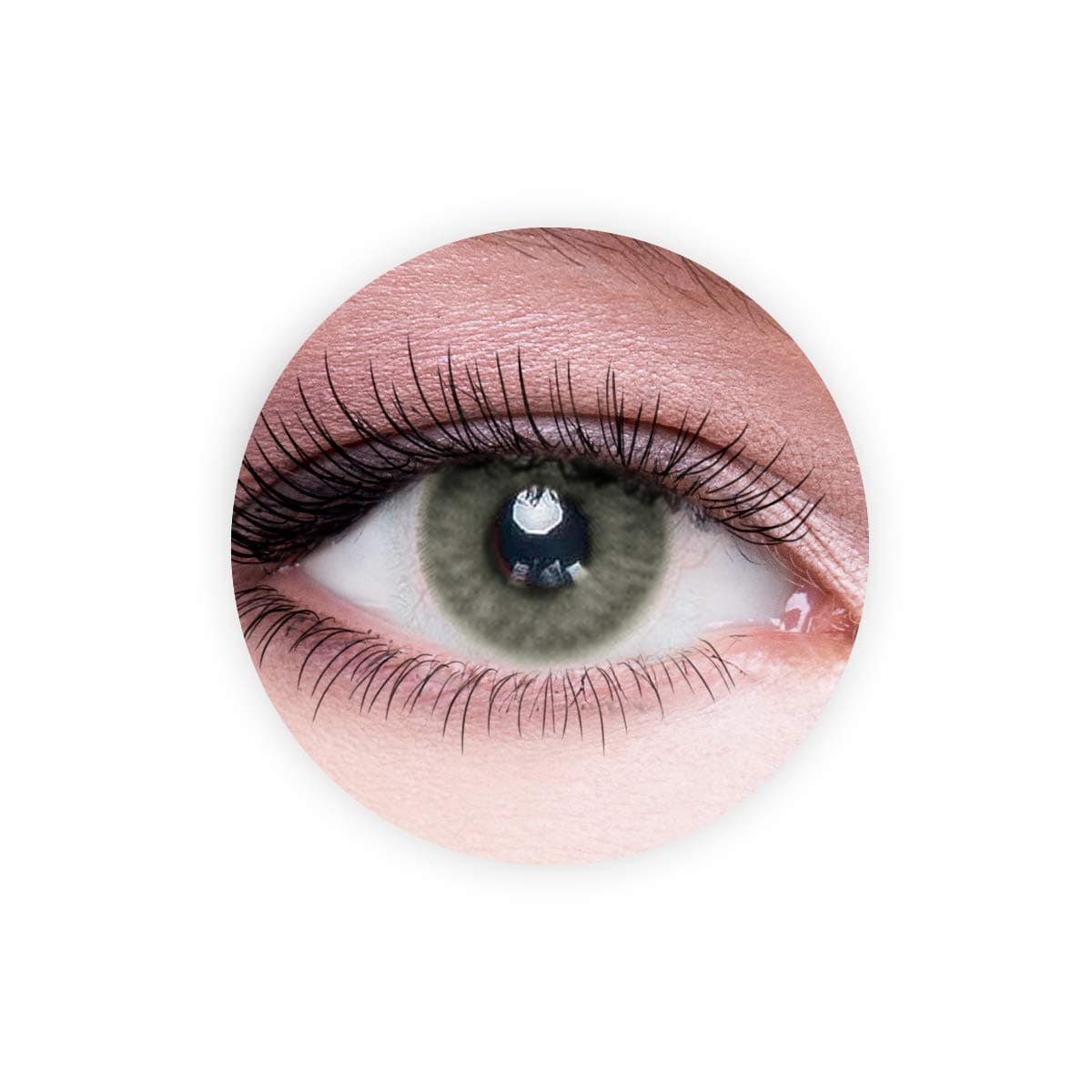 Dahab Aqua Contact Lenses, Unisex Dahab Cosmetic Contact Lenses, 9 Months Disposable- Natural and Beauty Collection, Aqua (Gray Green Color)