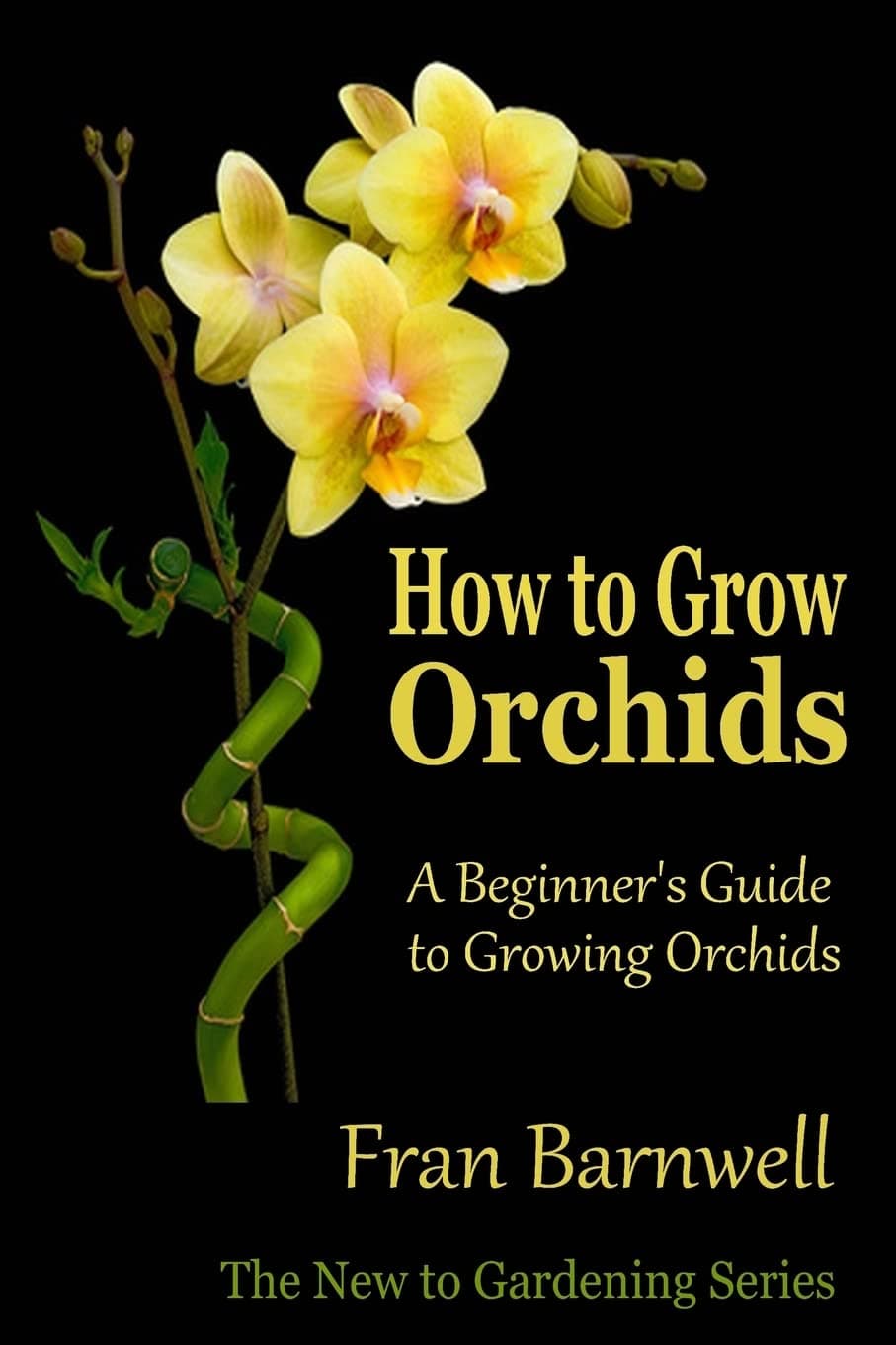 How to Grow Orchids: A Beginner’s Guide to Growing Orchids