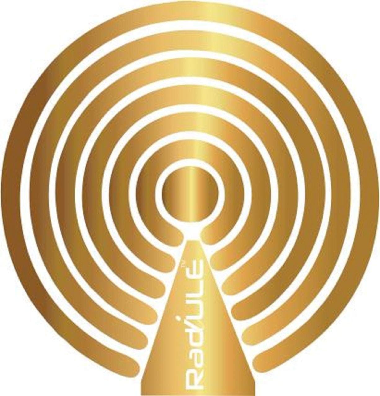 RadiULe Mobile Radiation Safety patch