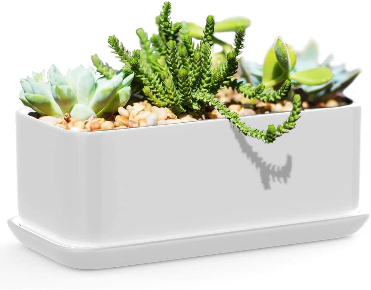 COLIBYOU 10 inch Rectangular White Ceramic Succulent Planter: Modern Design Pot Includes Fitted Saucer with Drain Holes