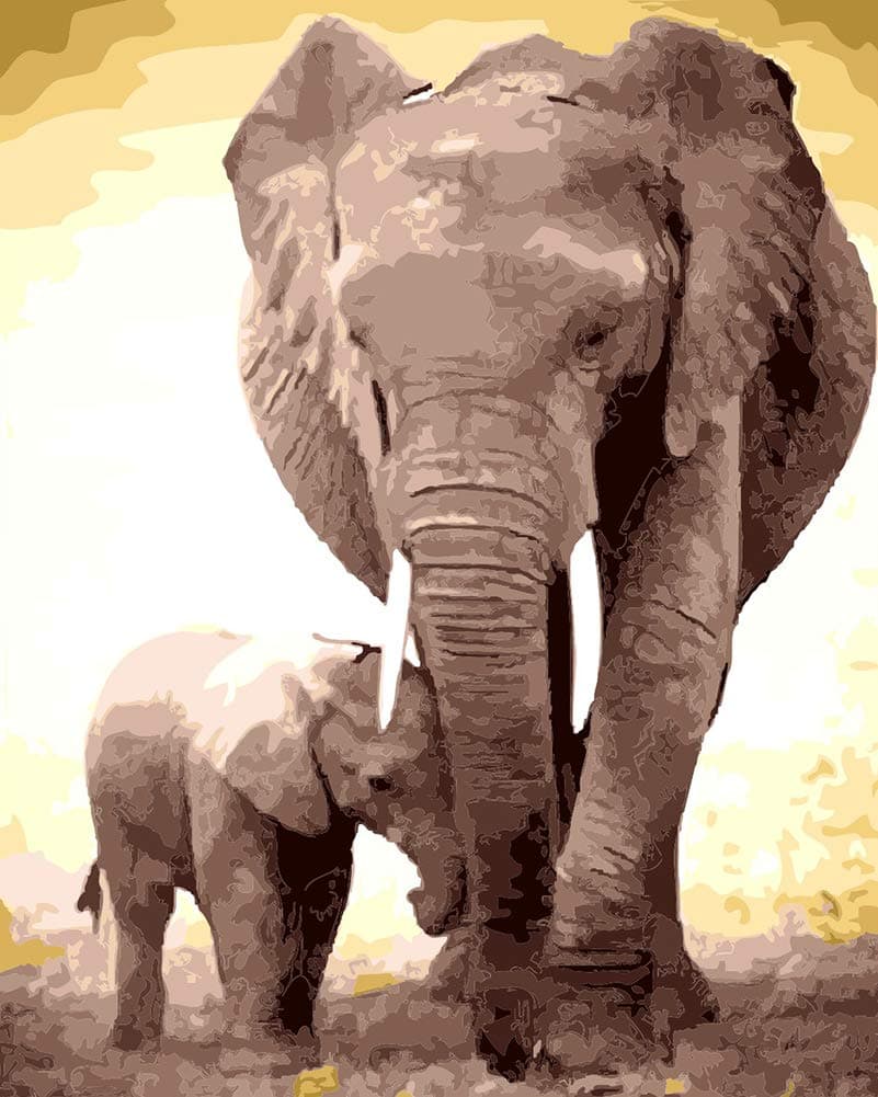 Suntown Paint by Numbers for Adults and Kids 40 x 50cm Canvas Painting with Brushes and Acrylic Paints - Elephant Father and Son (Just Canvas)