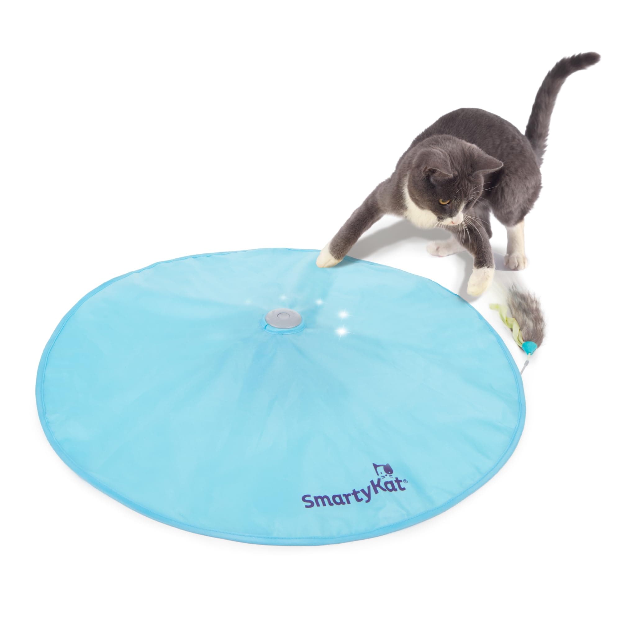 Smartykat Hot Pursuit Cat Toy Concealed Motion Toy, Blue