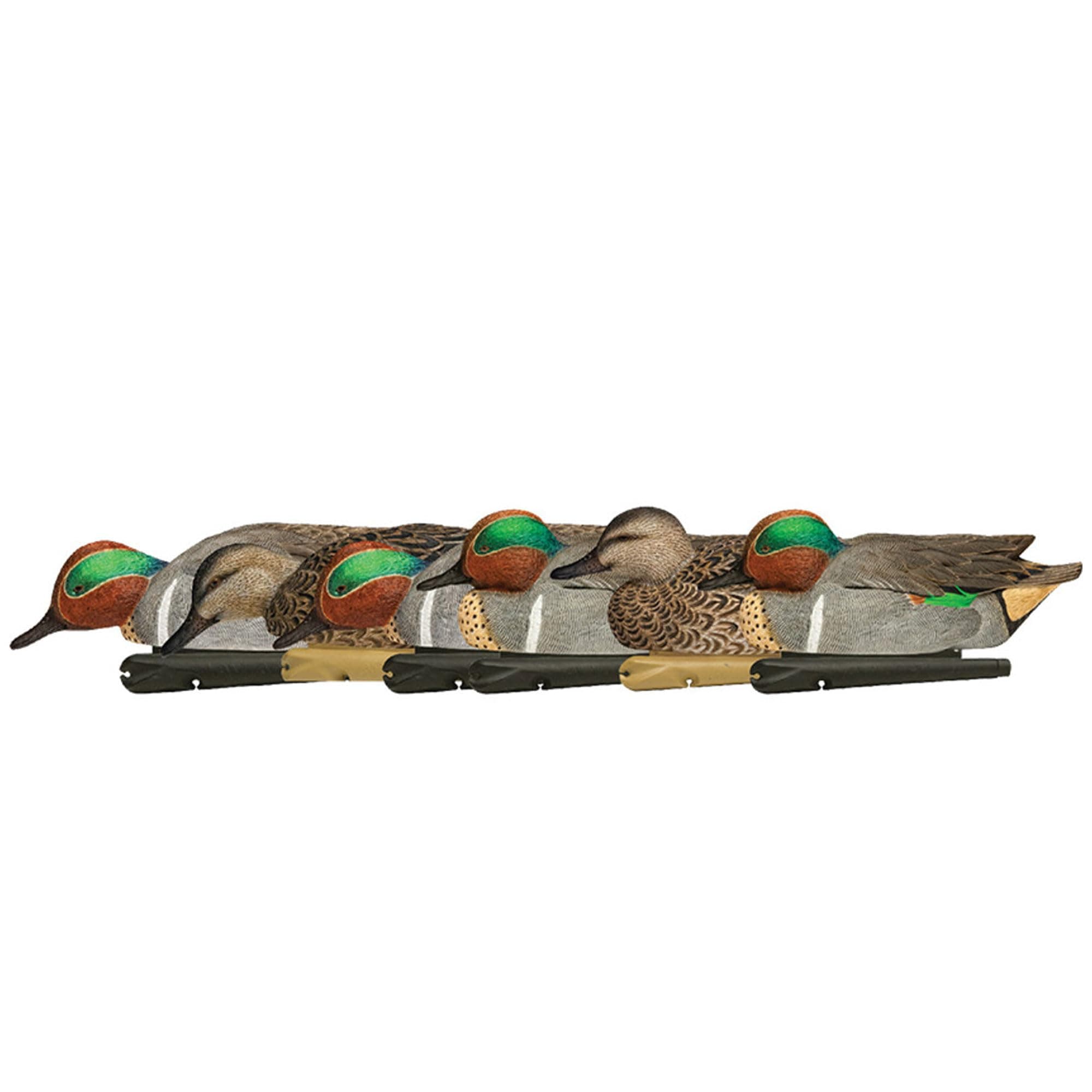 Avian-XTop Flight Duck Green Wing Teal Floater Decoy (6 Pack)