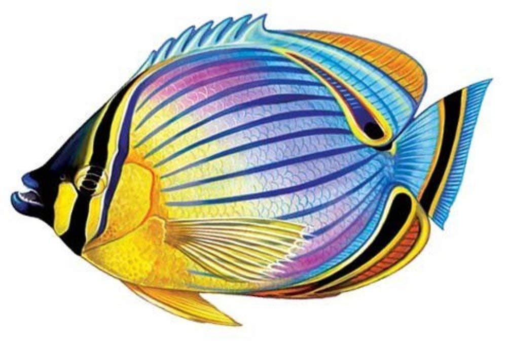 Redfin Butterflyfish Porcelain Swimming Pool Mosaic (5" x 3")
