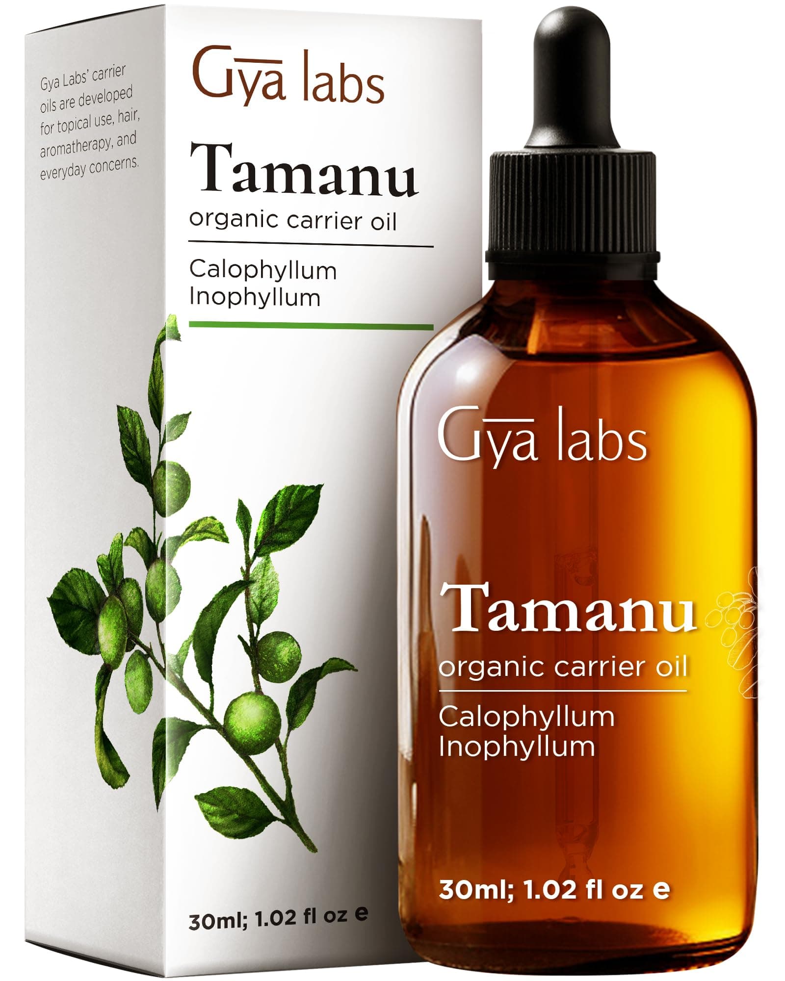Gya Labs Tamanu Oil - 1 Fl Oz - Carrier Oil for Hair, Skin, Face, Scalp & Body Massage