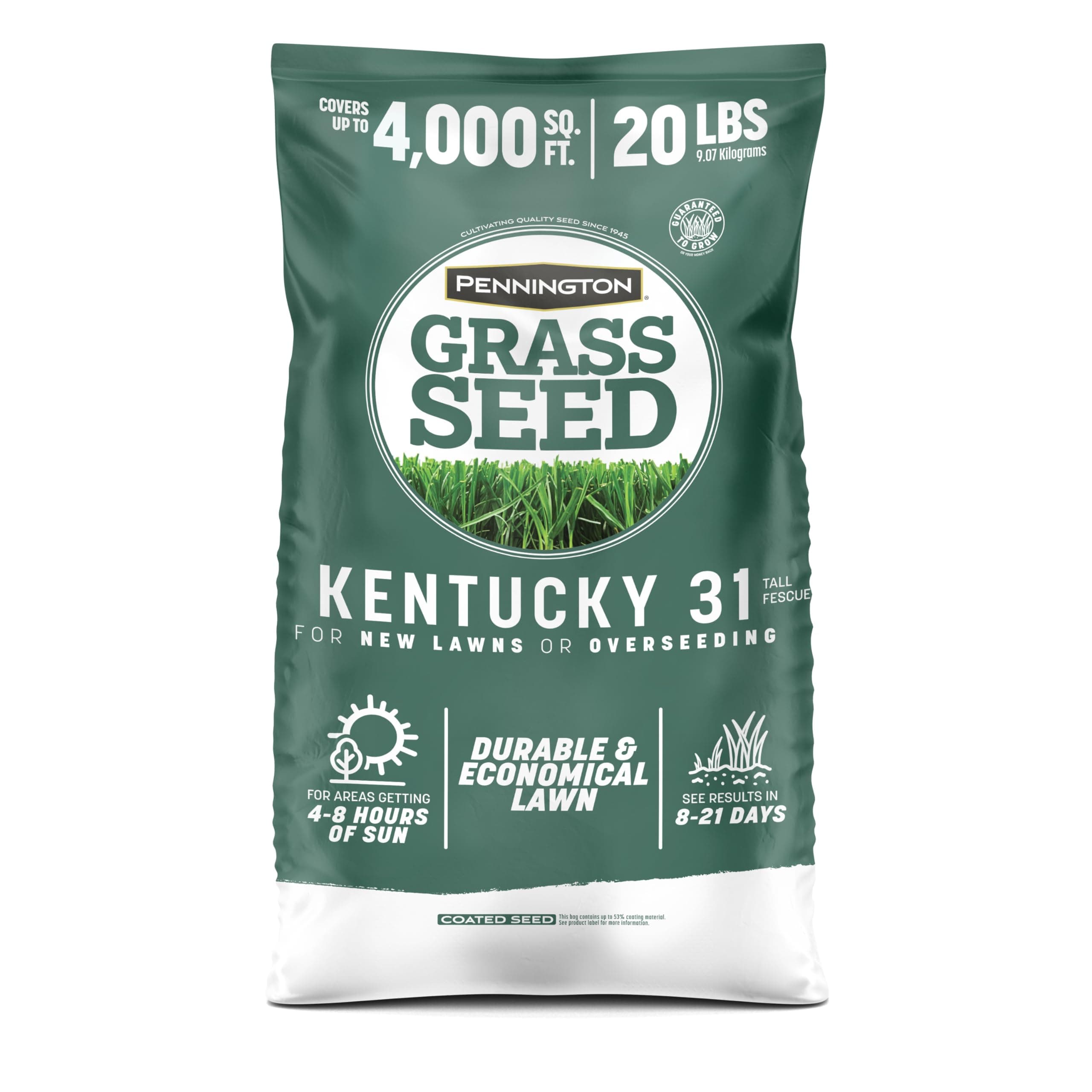 Pennington Kentucky 31 Tall Fescue Grass Seed 20 lb