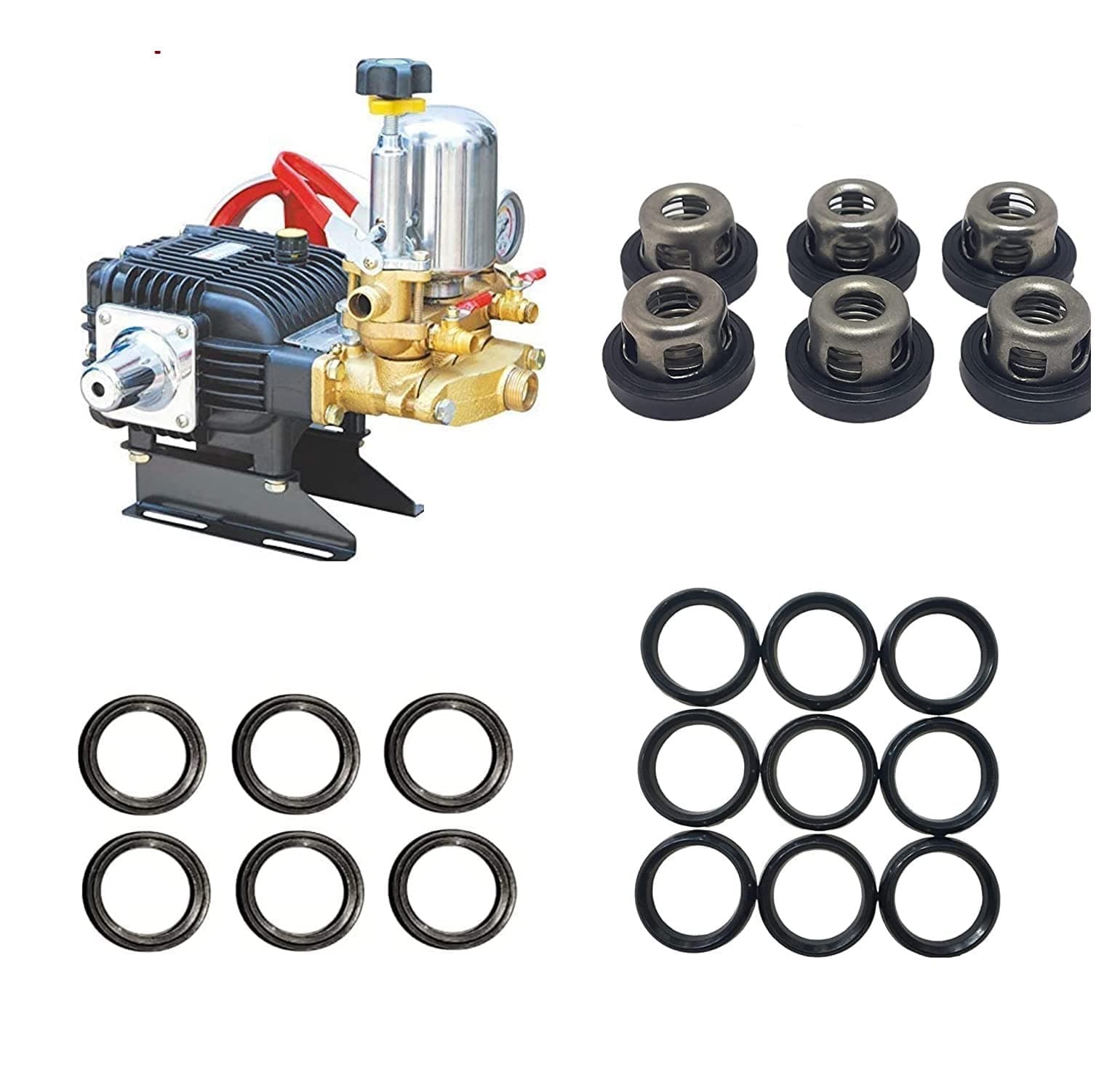Htp Pump 30L & 50L Repair Kit (Service Kit) With 6 Valve Seals, 9 Piston Glen Washers, 6 Complete Spring Valve Assemblies, Manual