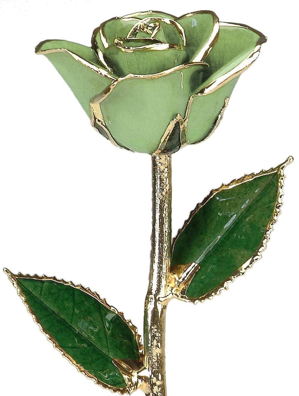 Allmygold Apple Green Lacquered 24k Gold Dipped Long Stem Genuine Rose