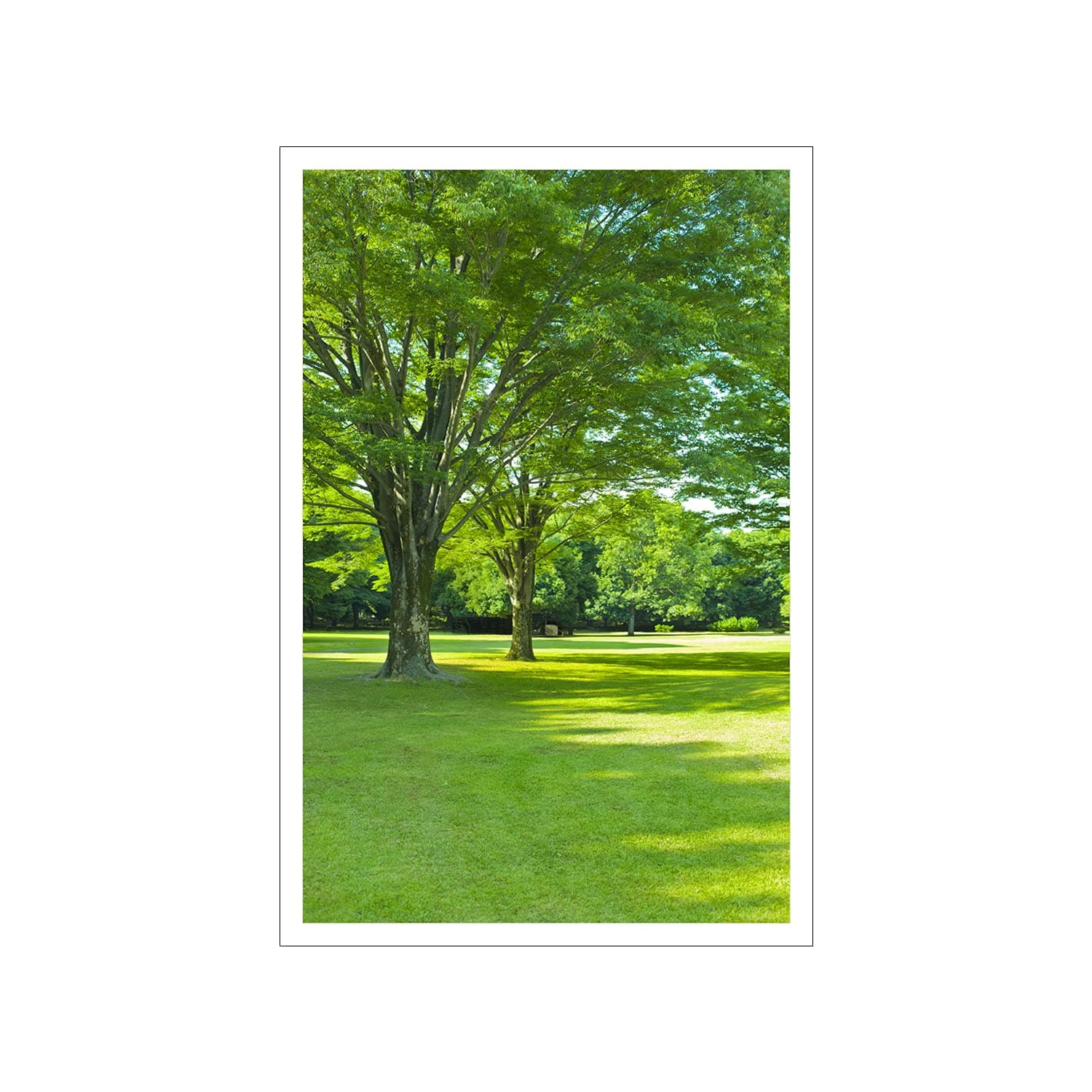 Treemaison Lush Green Landscape - Vastu Remedy, Painting Without Frame- 12 x 18