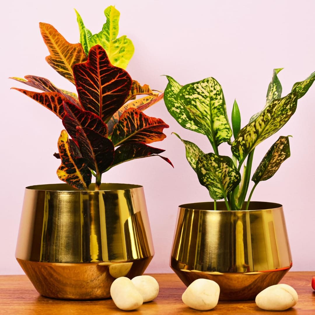 The Subtle Art - Home Decor Premium Golden Glossy Metal Planter Set (7.1 inches and 6.2 inches Wide), for Indoor & Outdoor Plants, Living Room, Bedroom (Golden Glossy Large Planter Set of 2)