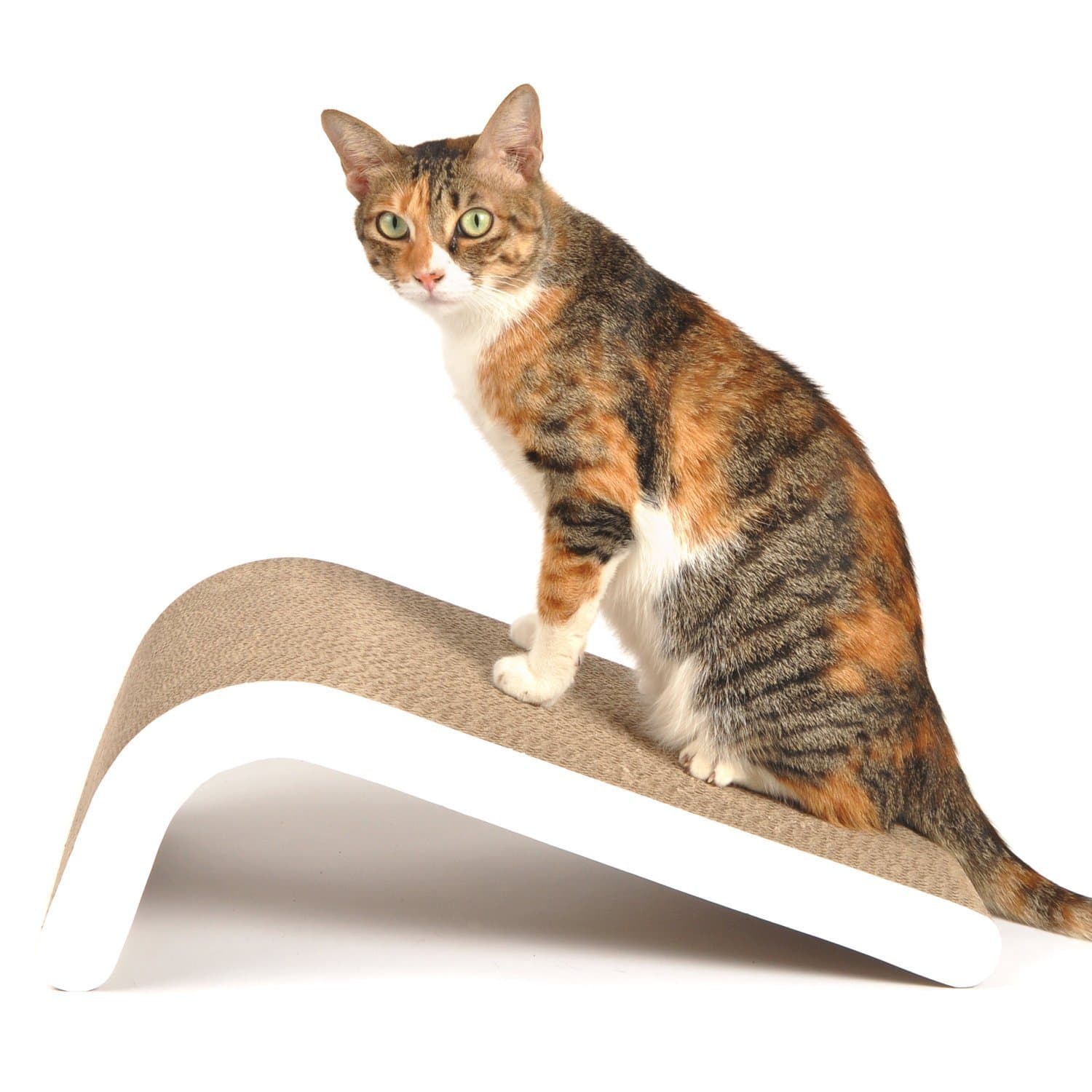 4CLAWS Incline Scratching Pad (White) - Basics Collection Cat Scratcher