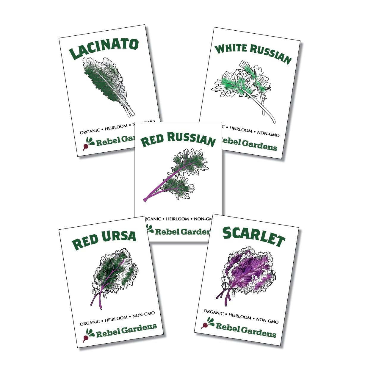 Rebel GardensHeirloom Kale Seeds - 5 Varieties of Organic Non GMO Vegetable Seed for Planting