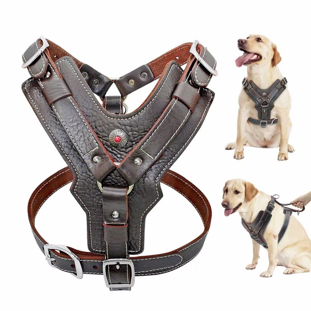 PET ARTIST Durable Leather Dog Harness for Medium Dogs,Adjustable Comfortable Design with Strong Metal Buckles and Handle for Daily Walking for Bulldog/Dalmatian/Schnauzer