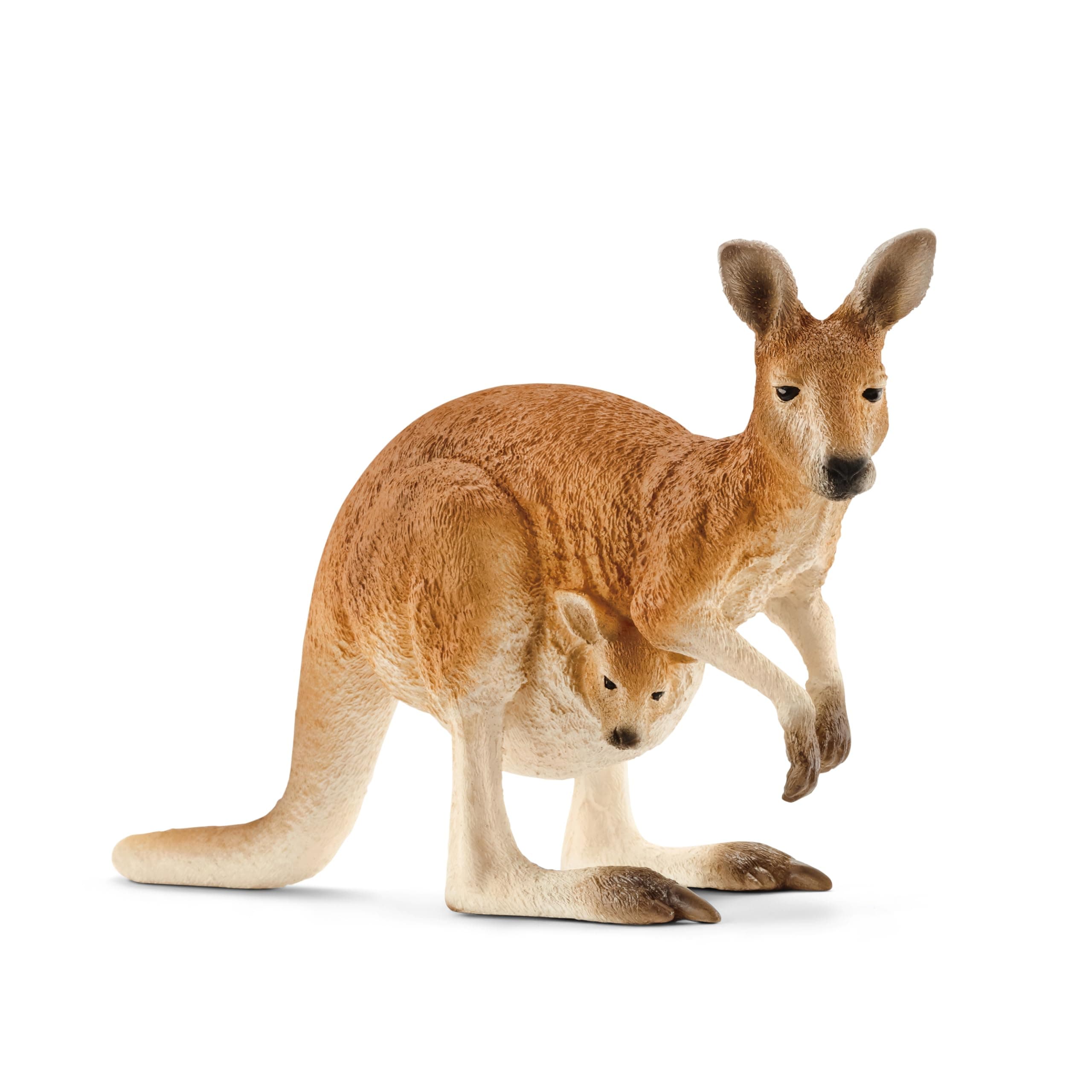 SCHLEICH Wild Life Kangaroo Animal Figurine - Detailed Wild Animal Kangaroo Toy Figure, Durable for Education and Fun Play, Perfect for Boys and Girls, Gift for Kids Ages 3+