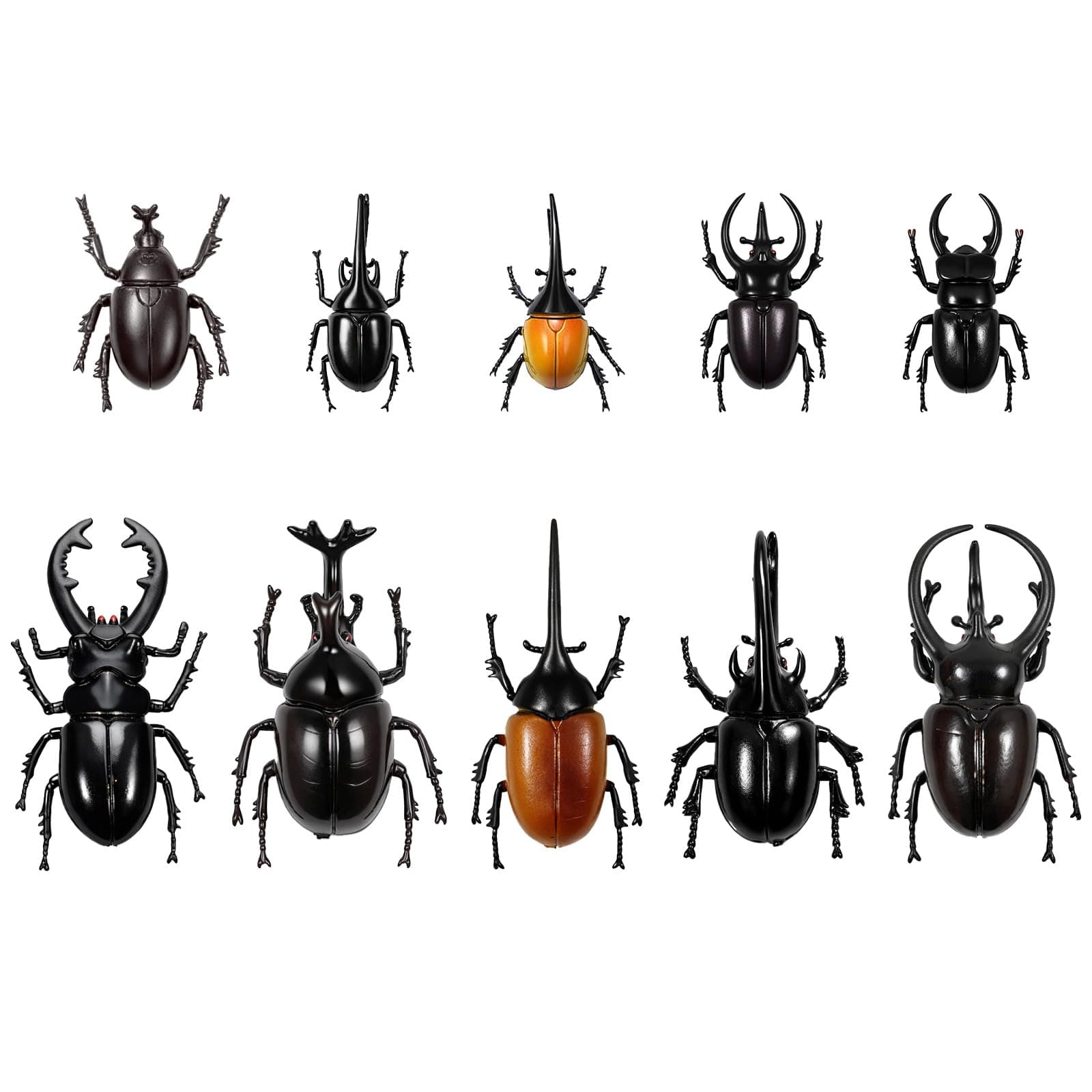 Bbiamsleep 10pcs Beetle Figurine Realistic Beetles Figure Models Garden Animal Simulated Beetle Figures