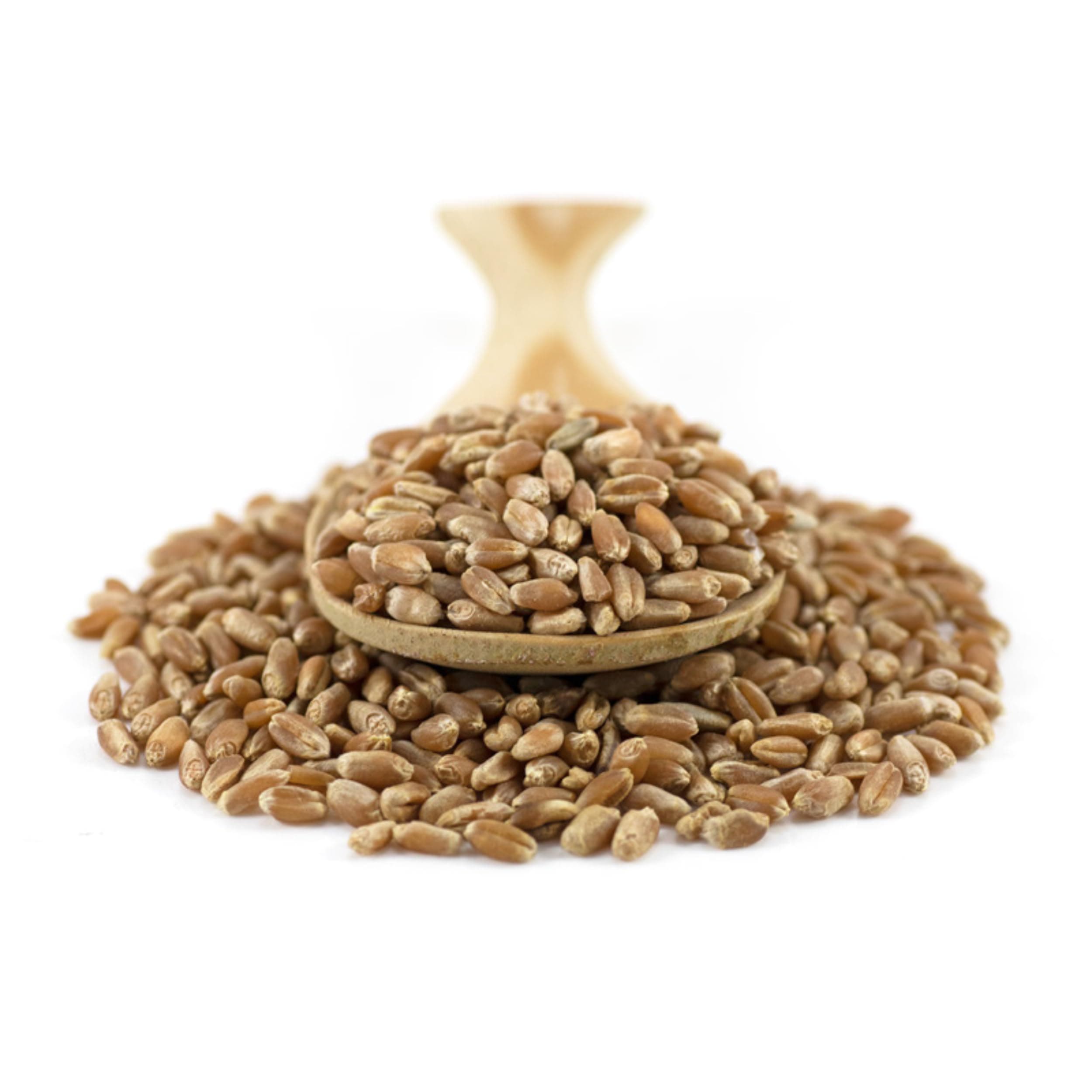 Sussex Wholefoods Organic Wheat Grain 1kg: Premium Quality, Versatile Whole Grain