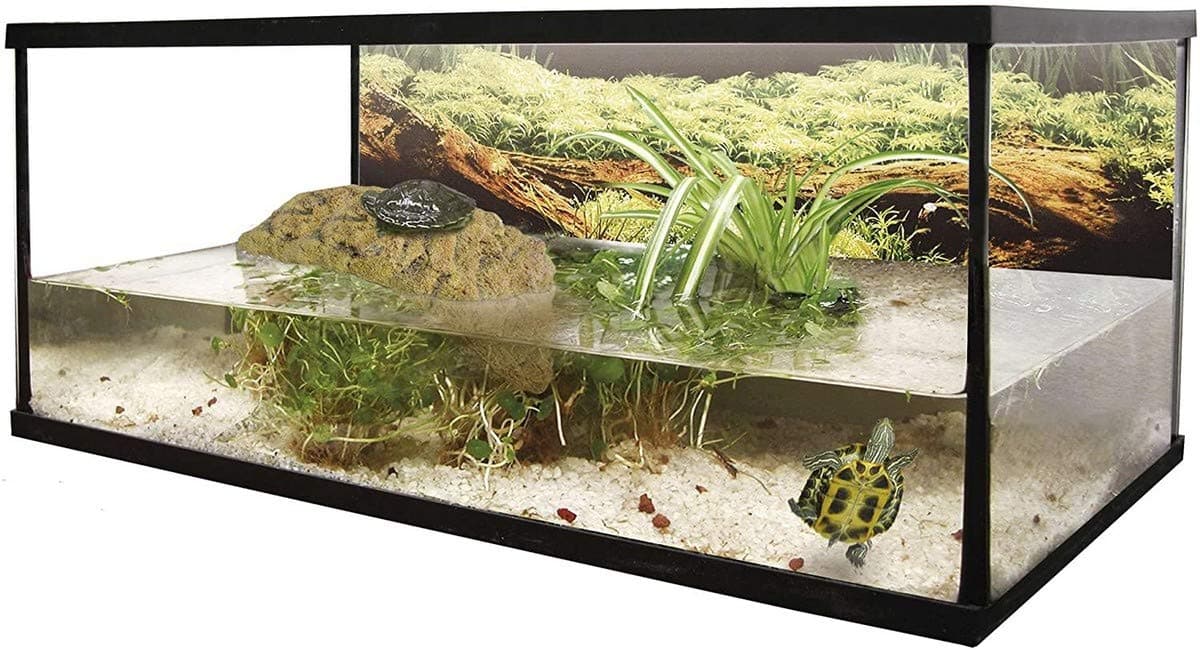 ICA KIS35 Glass Turtle Island Kit
