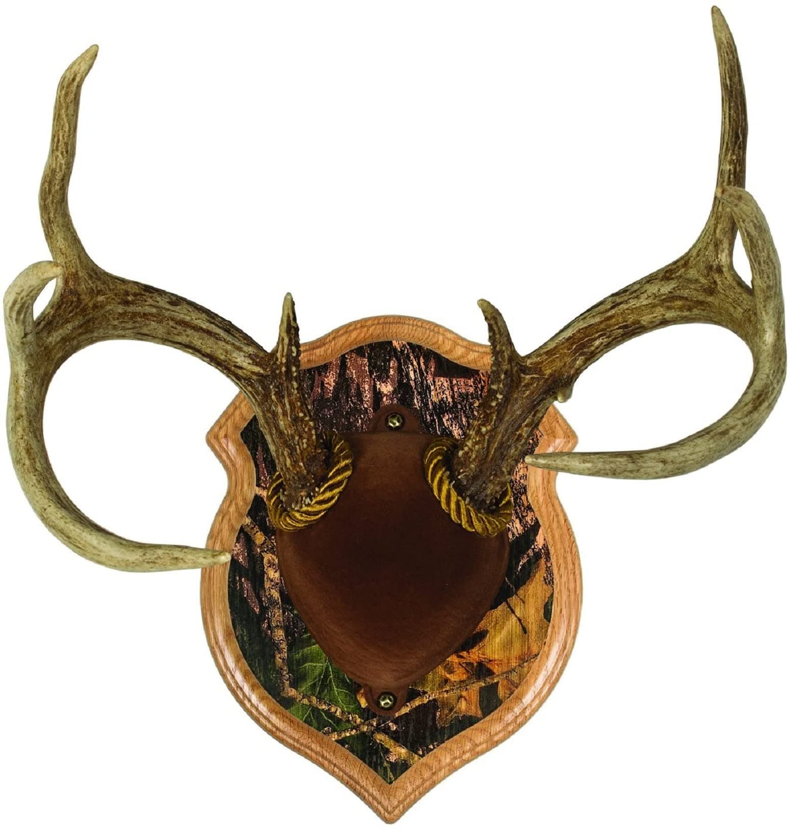 Walnut Hollow Country Deluxe Antler Mount & Display Kit, Oak with Camo